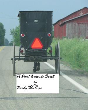 Cover of the book A Final Solitude Death: An Amish Country Murder Mystery by Mark Fitzgerald