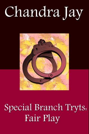 bigCover of the book Special Branch Trysts: Fair Play by 