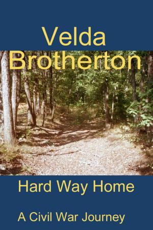Cover of the book Hard Way Home by nikki broadwell