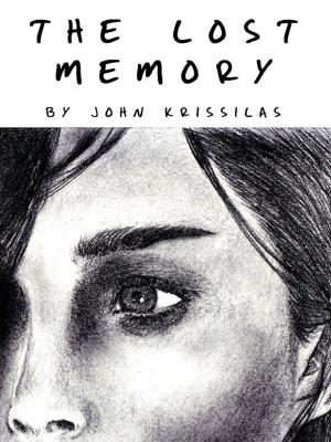 Cover of the book The Lost Memory by C.A. Huggins