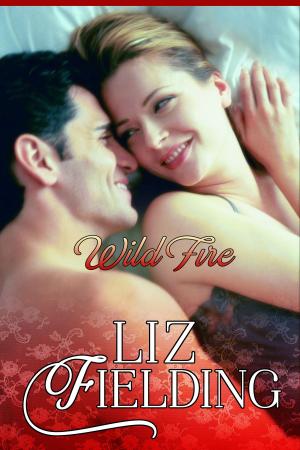 Cover of the book Wild Fire by Michelle I. Brooks