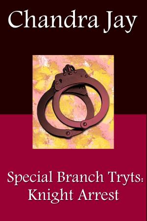 Cover of the book Special Branch Trysts: Knight Arrest by Tawanna Cain