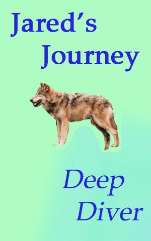 Cover of the book Jared's Journey by Deep Diver