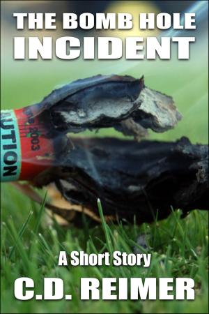 Cover of the book The Bomb Hole Incident (Short Story) by Phillip T Stephens
