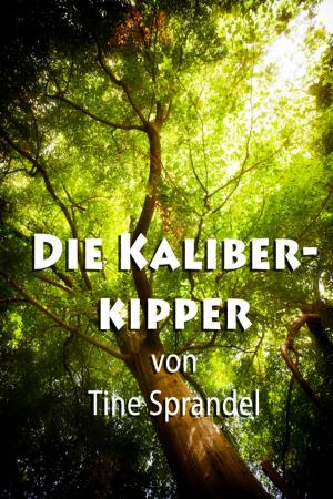 Book cover of Die Kaliberkipper