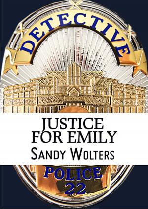 Book cover of Justice For Emily