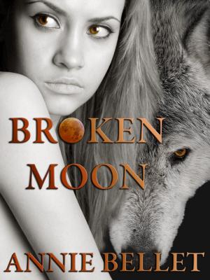 Cover of the book Broken Moon by Annie Bellet