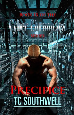 Book cover of The Cyber Chronicles IX: Precipice