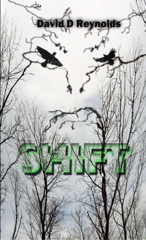 Cover of the book Shift by Bernard Baudouin, Céline Chadelat