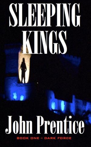 Book cover of Sleeping Kings (Dark Force – Book One)