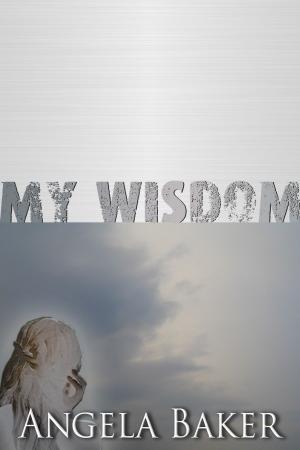 Book cover of Messages from the Borderlands: My Wisdom
