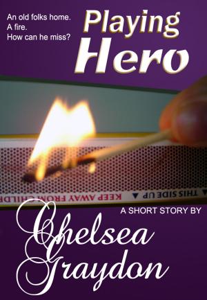 Book cover of Playing Hero