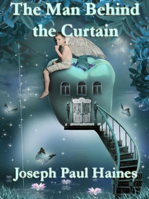 Book cover of The Man Behind the Curtain