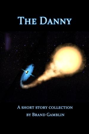 Cover of the book The Danny by Drew Maywald