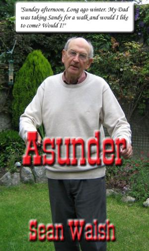 Book cover of Asunder
