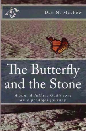 Cover of the book The Butterfly and the Stone by Steve Williams, Julie J Williams