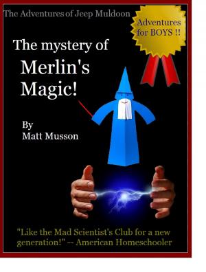 Book cover of The Mystery of Merlin's Magic