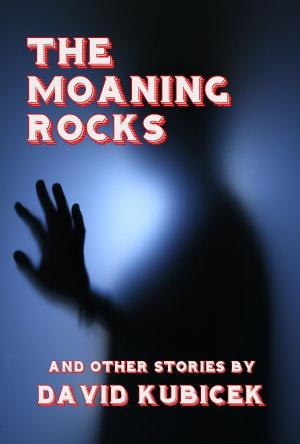 Book cover of The Moaning Rocks and Other Stories