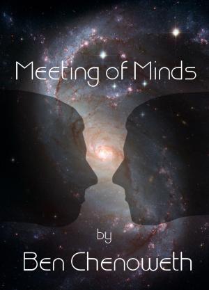 Book cover of Meeting Of Minds