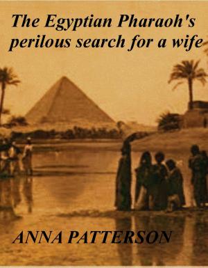 Book cover of The Egyptian Pharaoh's perilous search for a wife
