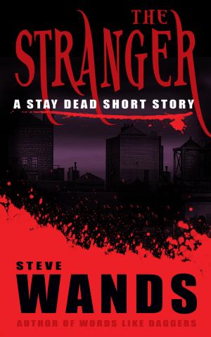Cover of the book The Stranger by Scott Toney