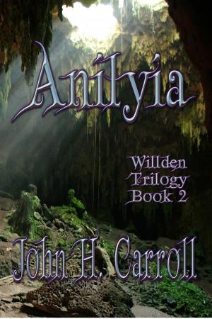 Cover of the book Anilyia by Rosalyn Kelly