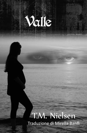 Cover of the book Valle: Libro 2 Della Serie Heku by M. Yakus-Johnson