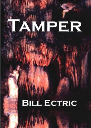 Cover of the book Tamper by Wodke Hawkinson