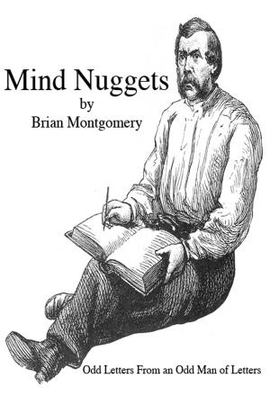 Book cover of Mind Nuggets