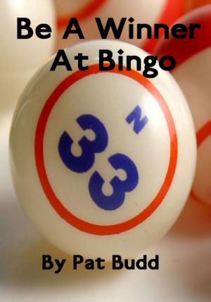 Cover of Be A Winner At Bingo