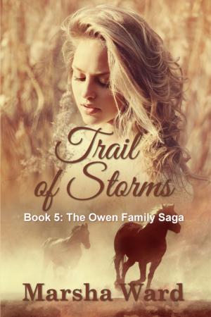 Cover of the book Trail of Storms by Tess St. John