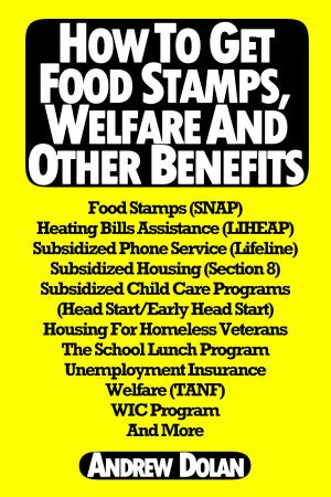 Cover of the book How To Get Food Stamps, Welfare And Other Benefits by Stevanne Auerbach