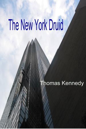 Book cover of The New York Druid