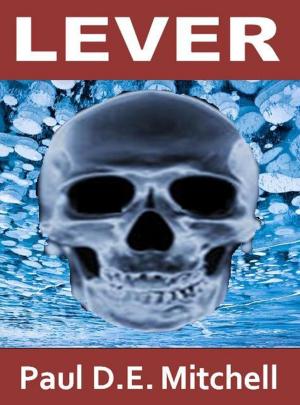 Cover of the book Lever (Nexus 2) by Jessica Roe