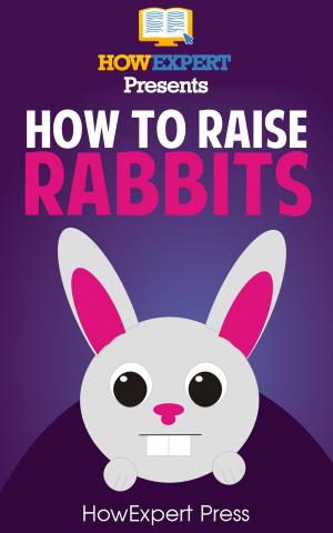 Book cover of How To Raise Rabbits