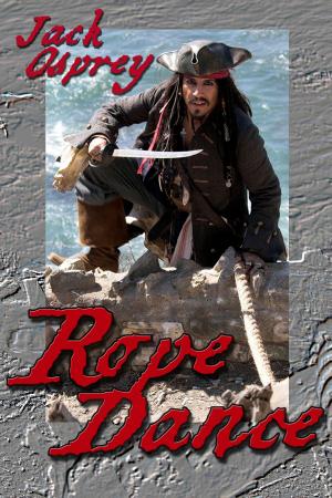 Cover of the book Rope Dance by Jake Bible