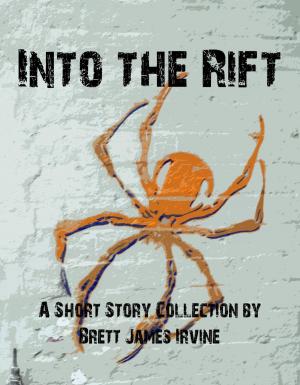 Cover of the book Into the Rift by GB Kinna