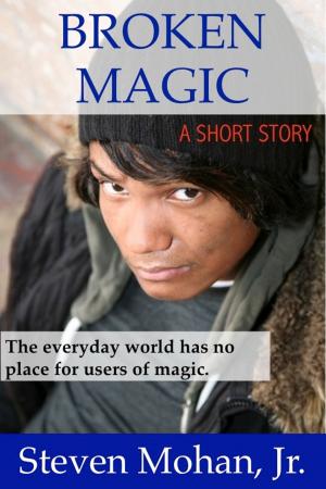 Cover of the book Broken Magic by Steven Mohan