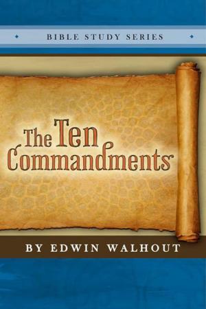 Cover of the book The Ten Commandments by Edwin Walhout