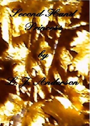 Cover of the book Second-Hand Princess by J.J. Anderson