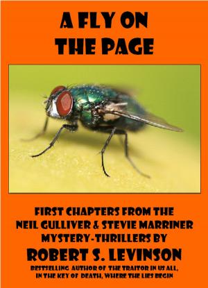 Book cover of A Fly on the Page
