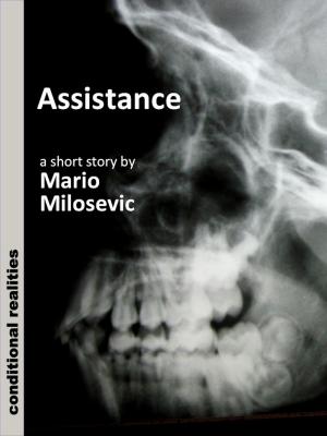 Cover of the book Assistance by Kim Antieau