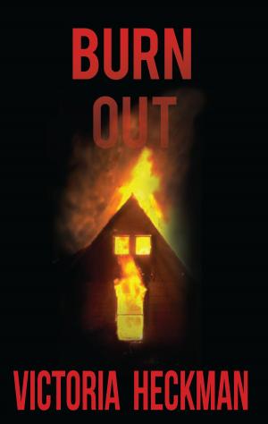 Cover of the book Burn Out by Alexie Linn