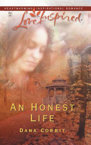 Cover of the book An Honest Life by Julie Kagawa