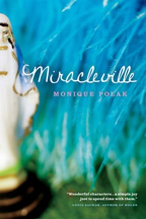 Cover of the book Miracleville by Sigmund Brouwer, Cindy Morgan