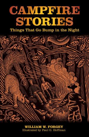 Cover of the book Campfire Stories by Justin Lichter, Justin Kline