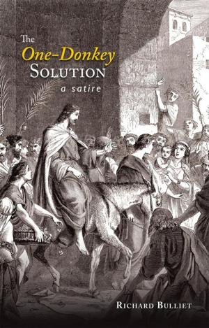 Cover of the book The One-Donkey Solution by J. Nichols Mowery