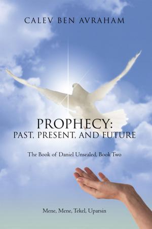 Cover of the book Prophecy: Past, Present, and Future by Kelly Kramlich, Nancy Godon, Vincent Godon