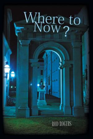 Cover of the book Where to Now? by Maurice Hommel