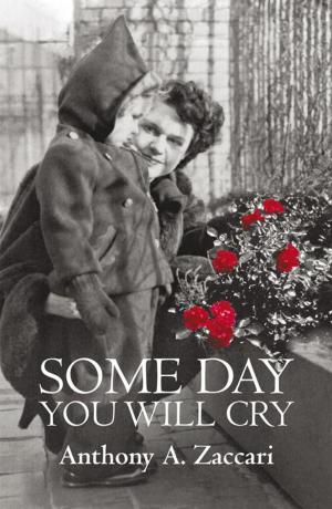 Cover of the book Some Day You Will Cry by Shane Salter